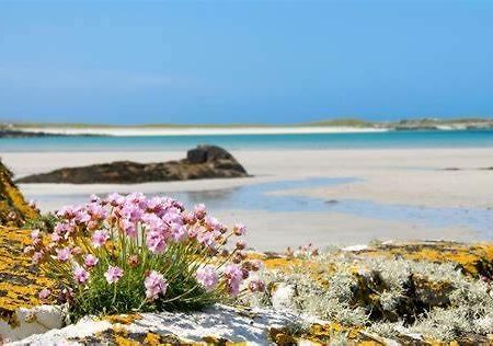 Wild Atlantic Stay Guest House Self-Catering Inverin ภายนอก รูปภาพ