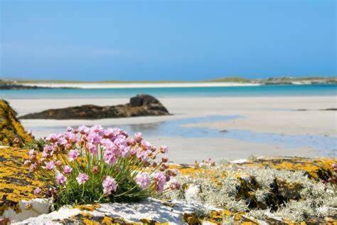 Wild Atlantic Stay Guest House Self-Catering Inverin ภายนอก รูปภาพ